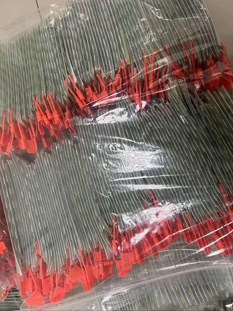 38d4b7f075f9d7467f8fae2ba6878e56_1715228288_8294.jpg 38d4b7f075f9d7467f8fae2ba6878e56_1715228288_8294.jpg