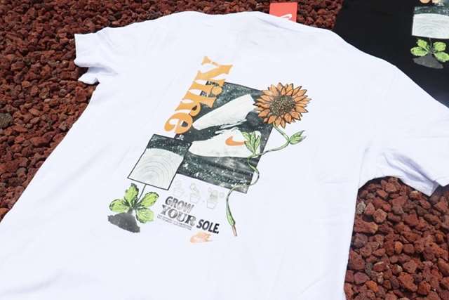 38d4b7f075f9d7467f8fae2ba6878e56_1715229212_6376.jpg 38d4b7f075f9d7467f8fae2ba6878e56_1715229212_6376.jpg