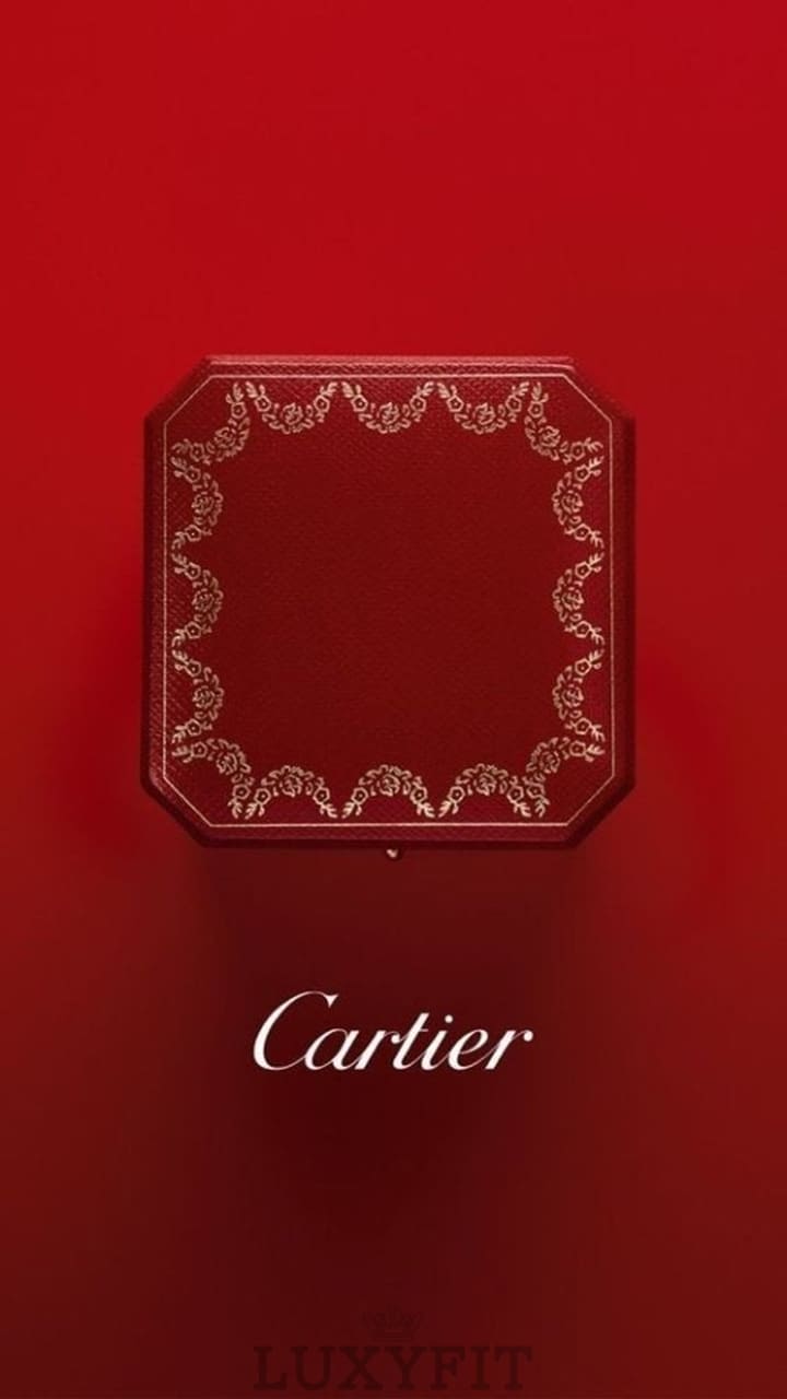 5be4e6978772219d5d6ad97f3fa07ceb_1773644450_7624.jpg 5be4e6978772219d5d6ad97f3fa07ceb_1773644450_7624.jpg