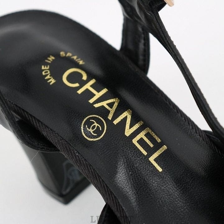 41075e0ee821a2565f57b9076689d5af_1775272035_5418.jpg 41075e0ee821a2565f57b9076689d5af_1775272035_5418.jpg