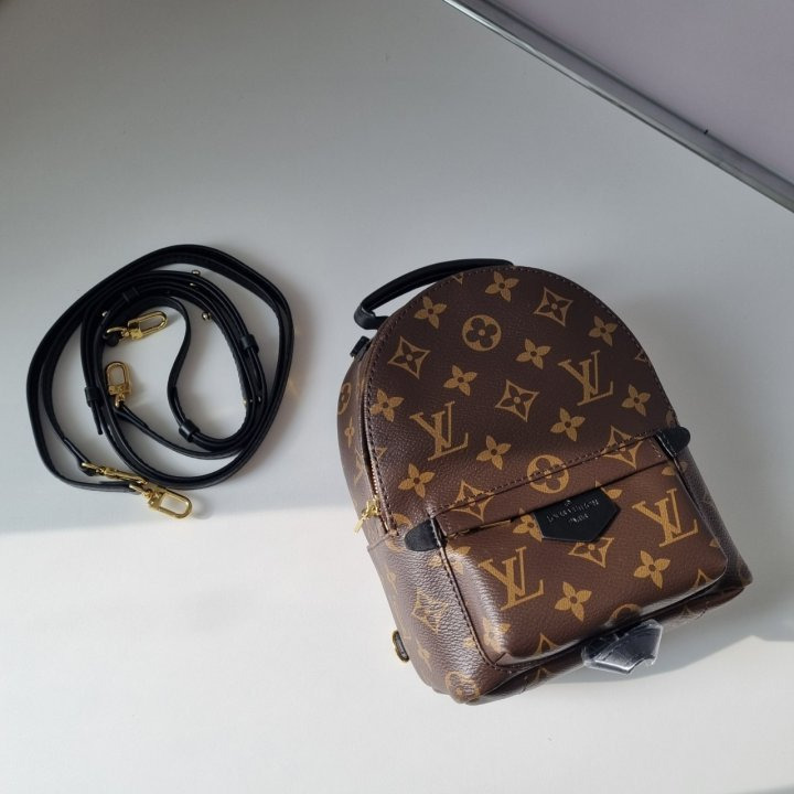 LV 루이비통 팜스프링 백팩 스몰  