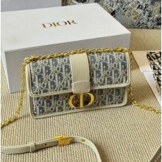 DO 디올 몽테인 크로스백 