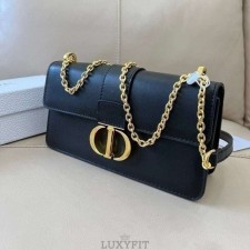DO 디올 몽테인 체인백